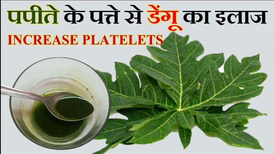 papite ke patte ka ras
