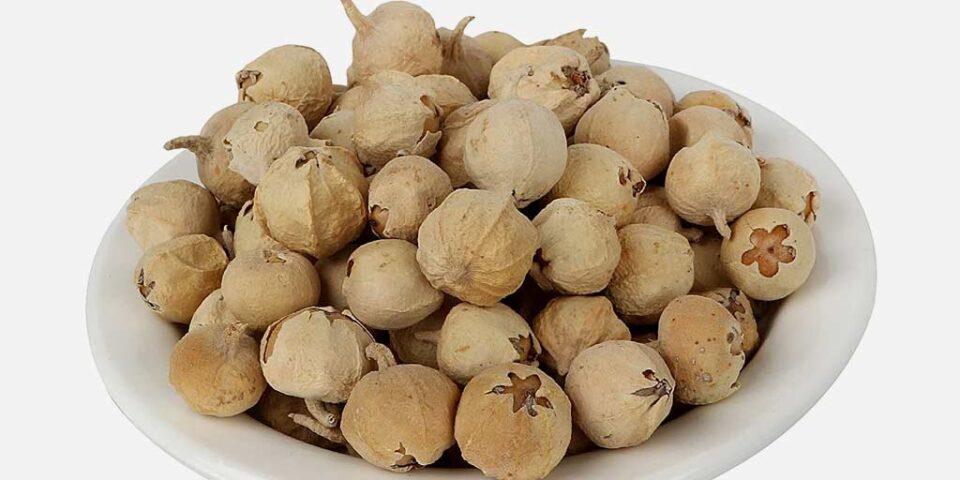 paneer ke phool health benefits