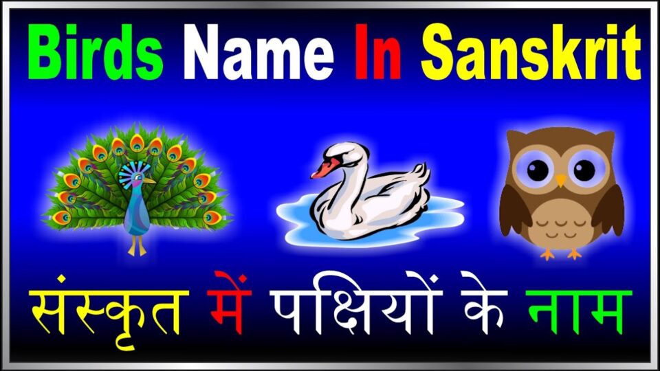 संस्कृत में पक्षियों के नाम