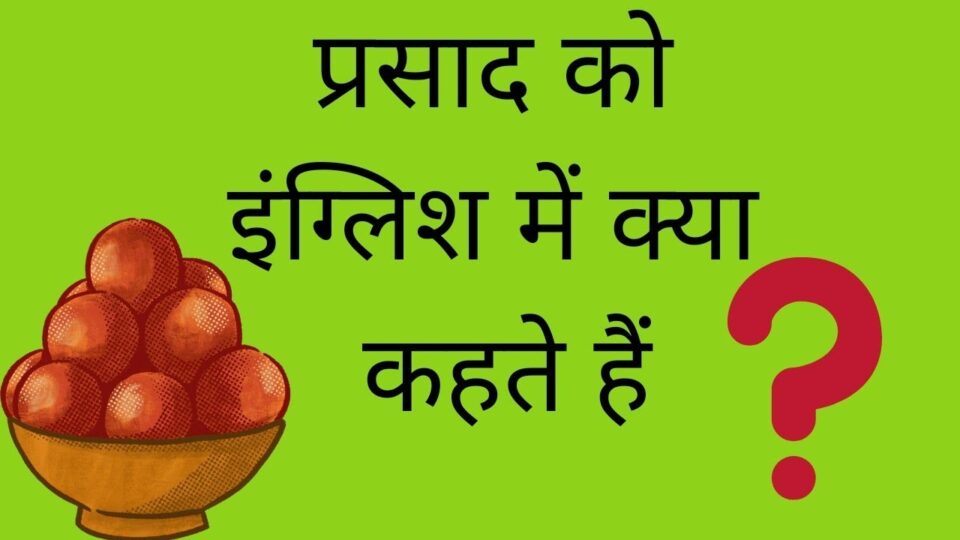 parsad ko english main kya kahate hai